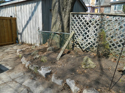 A Toronto Spring Cleanup in Riverdale After by Paul Jung Gardening Services--a Toronto Gardening Company