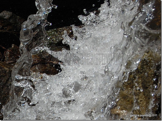 patriziasommi_acqua patriziasommi_acqua