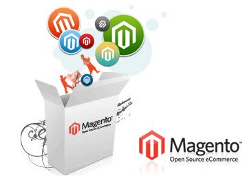 magento development