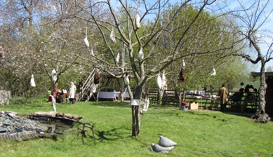 Baum mit Gewölle von Petra