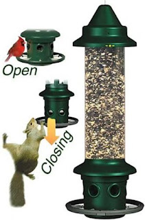 Squirrel Buster Wild Bird Feeder