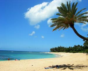 Hawaii Beach Of Vacation 