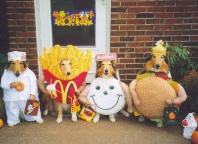 Crazy Halloween Costume for Dog Seen On www.coolpicturegallery.us