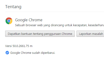 Google Chrome 50 Dirilis, Versi Terakhir Chrome yang Mendukung Windows XP dan Vista