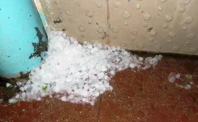 बैढ़न व देवसर इलाके में मूसलाधार बारिश के साथ गिरे ओले
