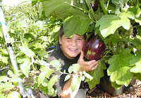 hiding in the eggplant