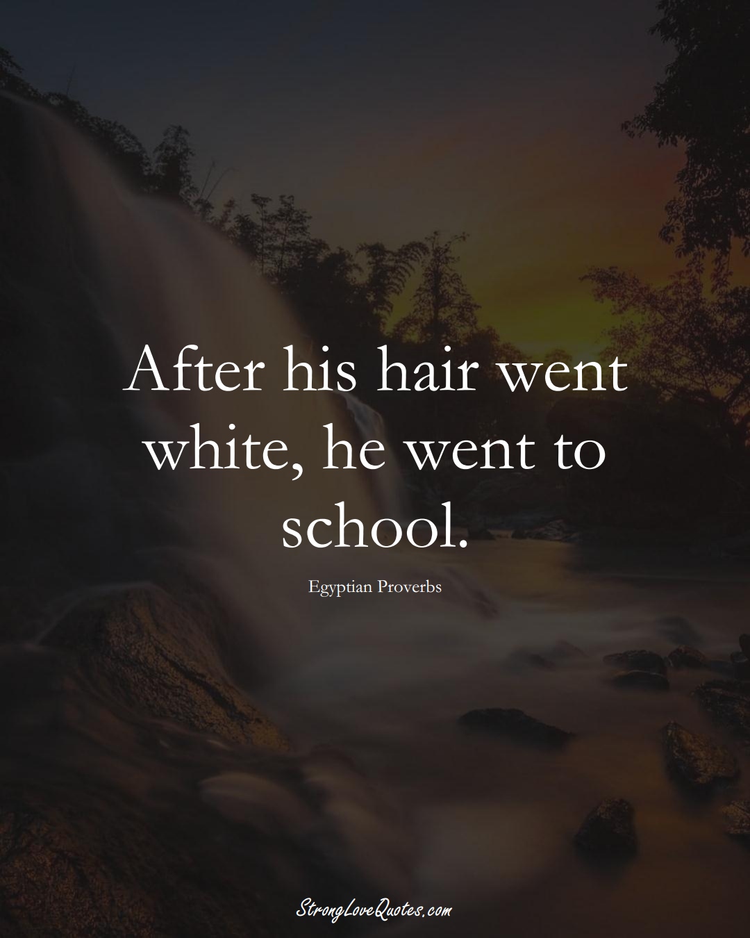 After his hair went white, he went to school. (Egyptian Sayings);  #MiddleEasternSayings
