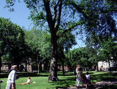 Harvard University USA Wallpapers