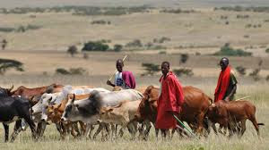 TRAGIC! Herdsmen Shot, Butcher Okada Rider In Delta