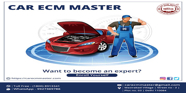 ECM Online Course