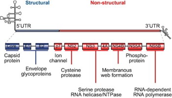 PIIS0168827813002092_gr1_lrg