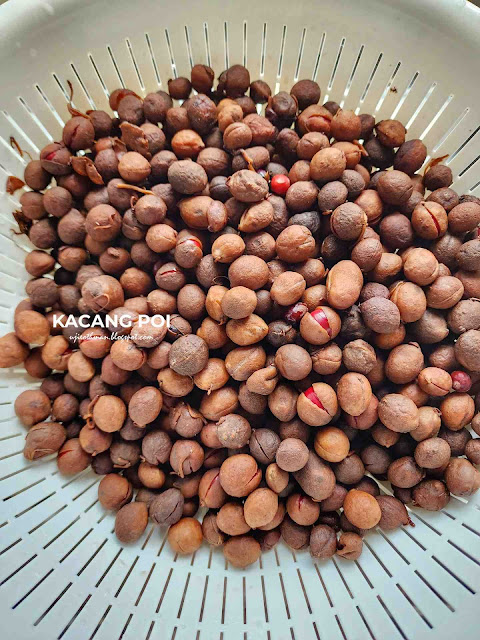 Kacang Poi