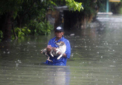 Flood in Metro Manila, Tropical Storm Haikui