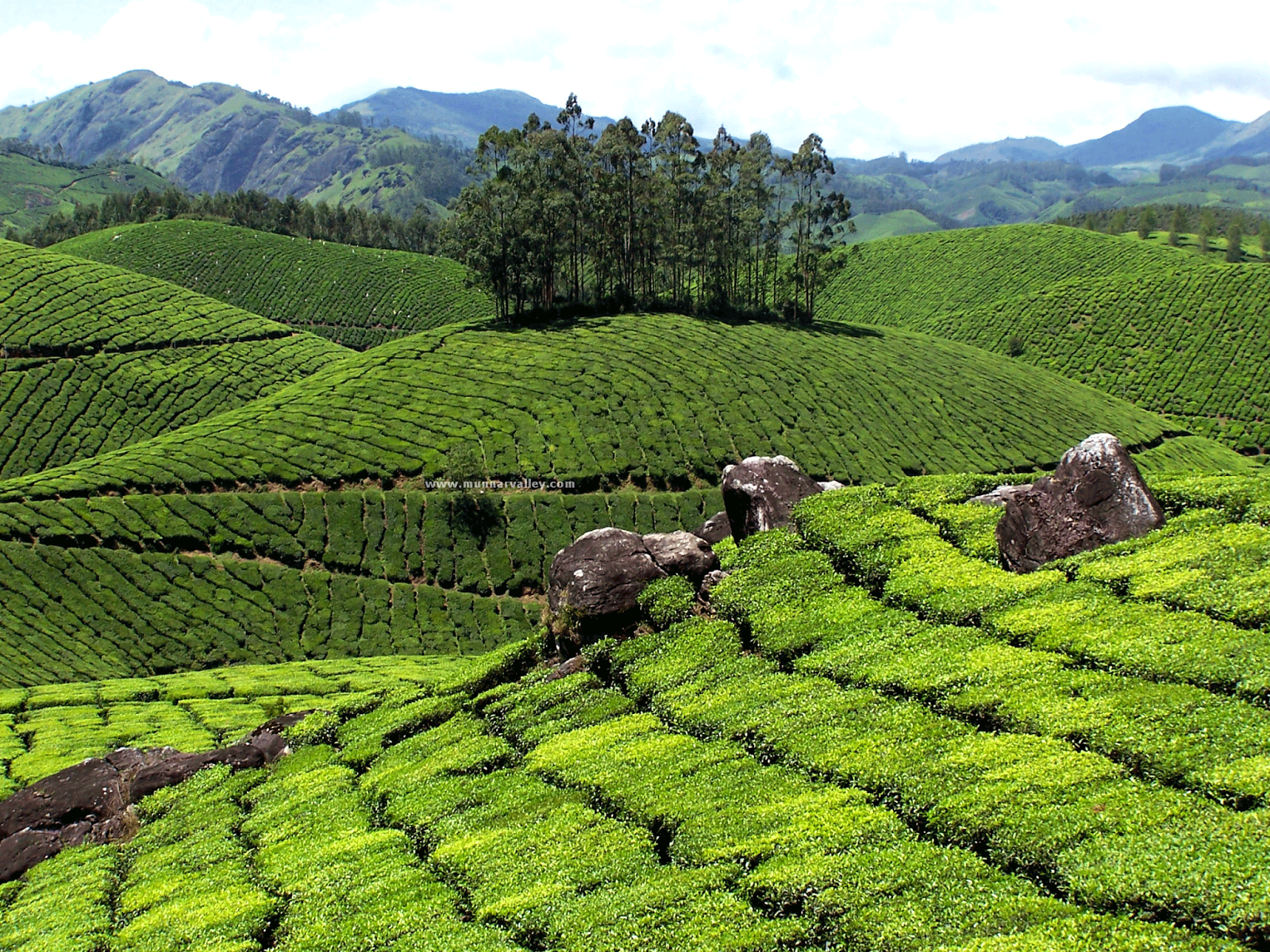 A Tourist Guide to the Beautiful Munnar