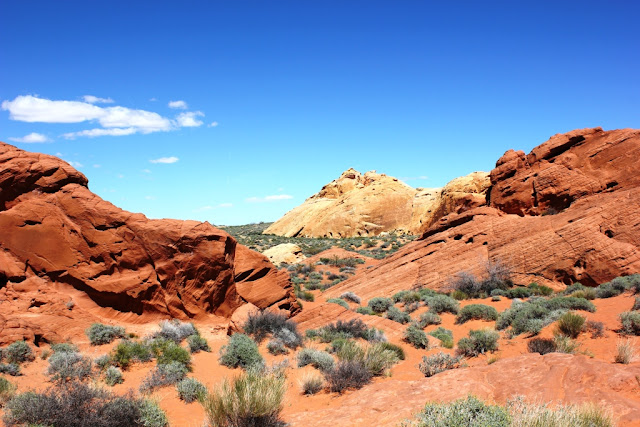 Desert vista - Valley of Fire Nevada