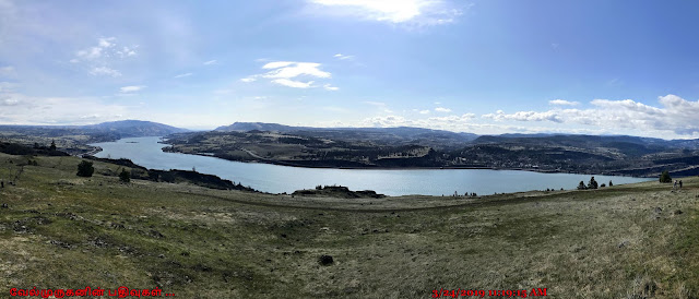 Columbia River view from Coyote Wall