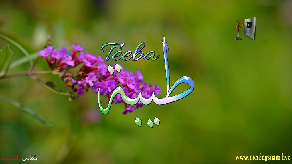 معنى اسم, طيبة, وصفات, حاملة, هذا الاسم, Teeba,