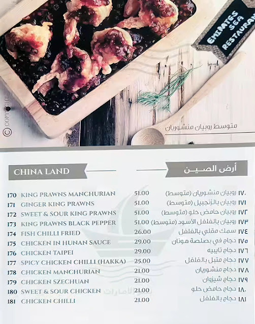 منيو مطعم بحر الامارات دبي 15