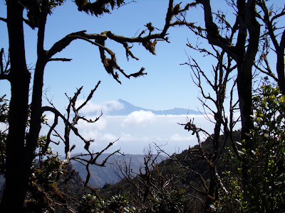 Der Teide von La Gomera aus