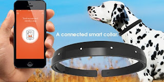 Smart collars like this one from DogTelligent will alert you if your pet strays too far