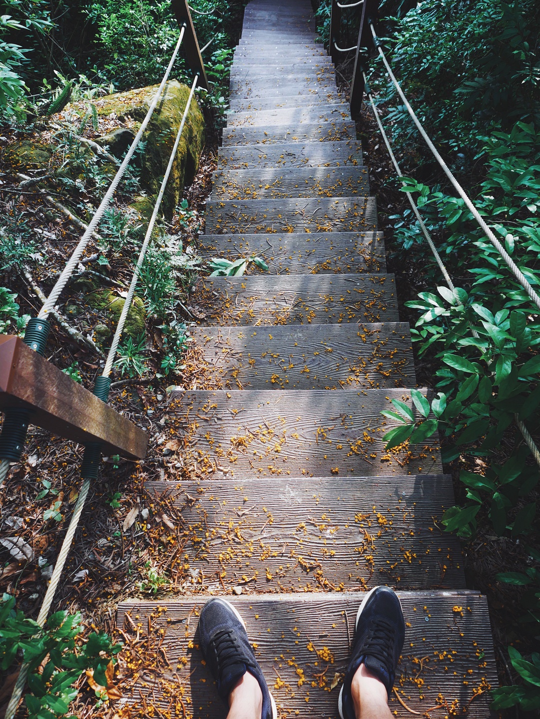 新田登山步道