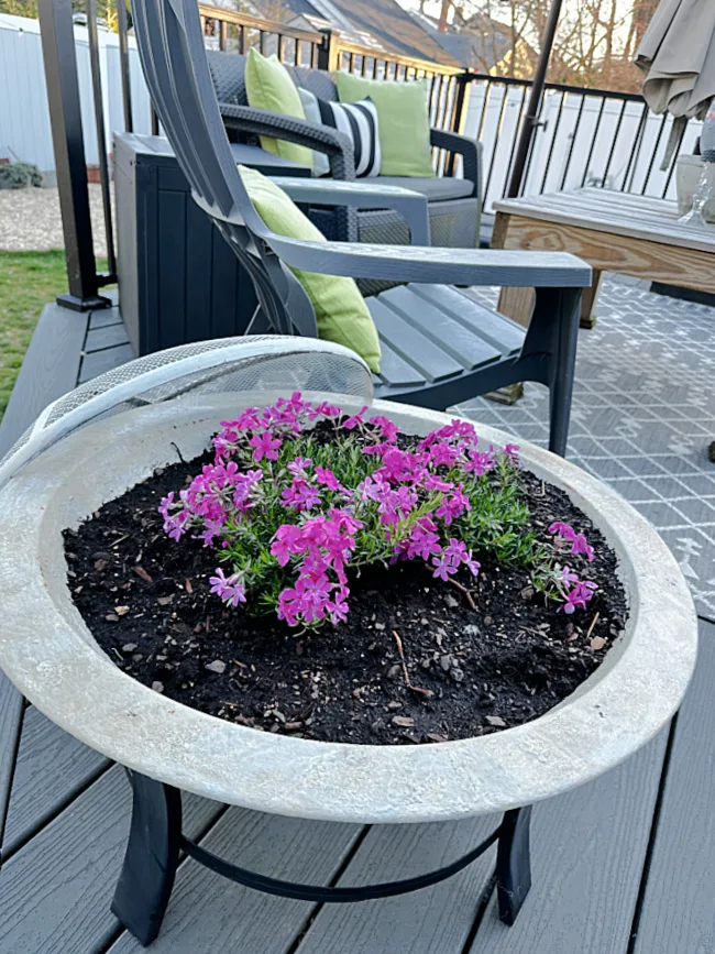 outdoor planter on deck with flowers