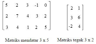 Materi Pengertian dan Jenis-jenis Matriks Matematika Lengkap