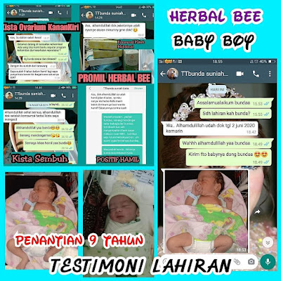 herbal bee untuk kista 