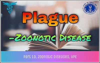 Plague - Zoonotic Disease