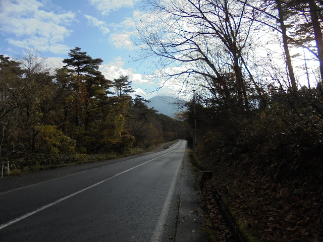 284号道路の大山寺岸本線を大山の方へ歩きます