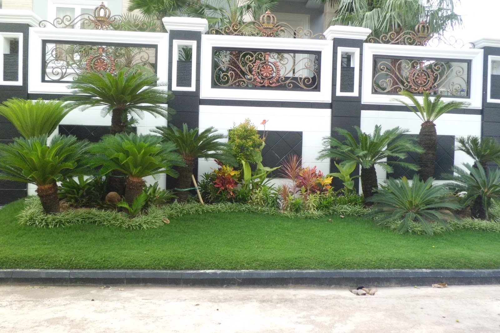 Desain Taman Cemara Udang Rumah 0108