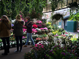 Pic of the Paris Flower Market in Place Louis Lépine