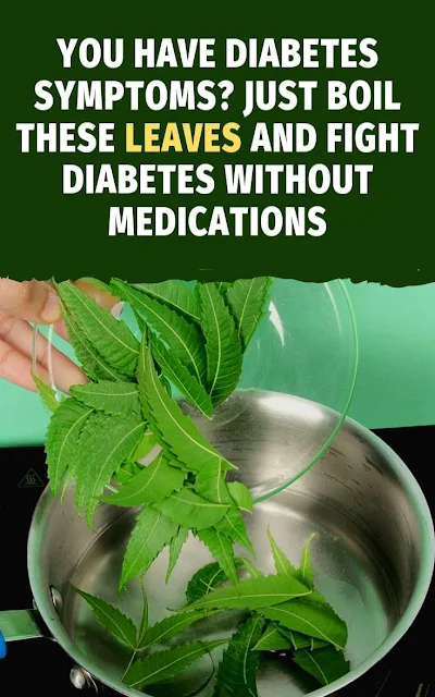 You Have Diabetes Symptoms?- Just Boil These Leaves And Treat Diabetes Without Medications!