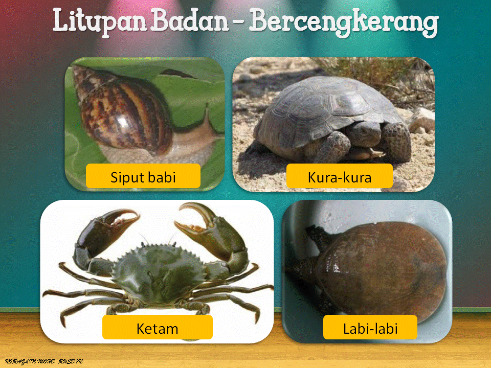 Dunia Sains dan Teknologi (Belajar dengan Ceria): DST 