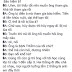 BHNT - Để đây và không nói gì thêm !
