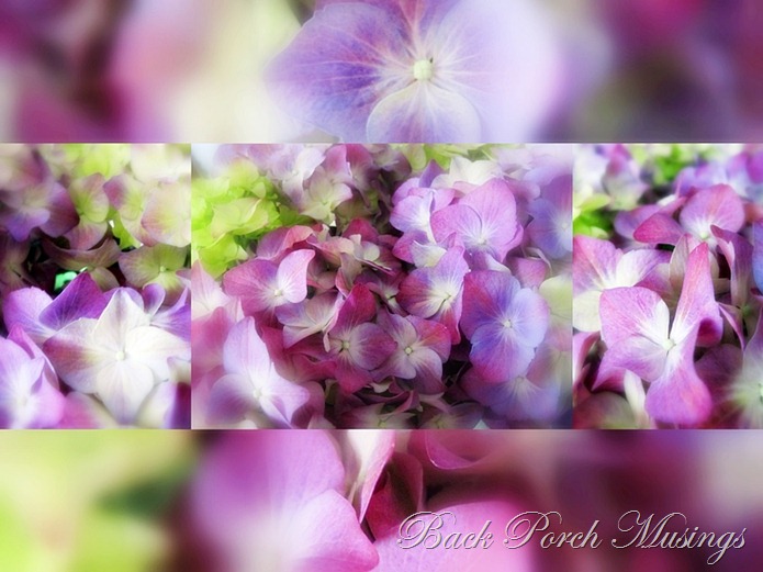 mothersdayflowers1