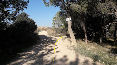 Ruta Castellera, El Vendrell a La Bisbal, camí al Bosc del Gener