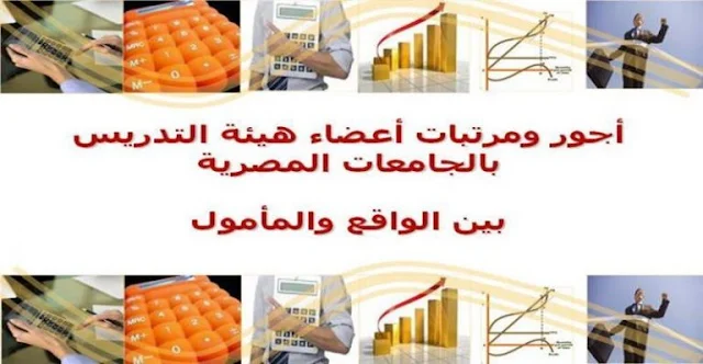 مرتبات اعضاء هيئة التدريس