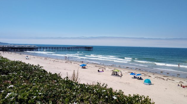 Top 10 San Diego Beaches You Must Visit WWNEED.COM
