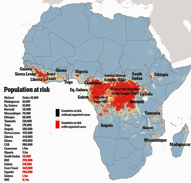 El Congo Belga. La zona del centro occidente de África es la región de origen del VIH-1 y también es la zona con más riesgo para la infección con Ébola. Mientras el continente africano y otras regiones selváticas e inexploradas sigan siendo explotados, la aparición de nuevas infecciones emergentes por zoonosis, se convertirán en titulares cada vez más comunes.