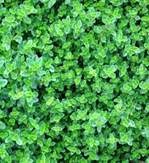 clip_image002[6]