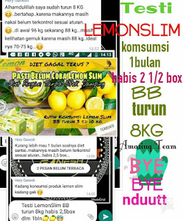 https://agenlemonslimg4nesh.blogspot.com/