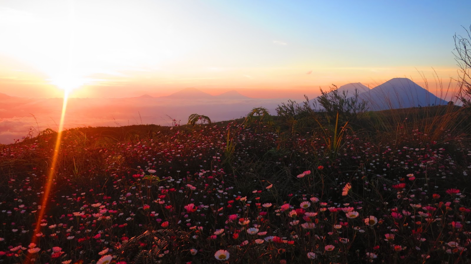 Gunung Prau Dieng Tempat Paling Indah Dan Romantis Untuk