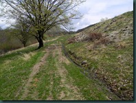 DSCN9306