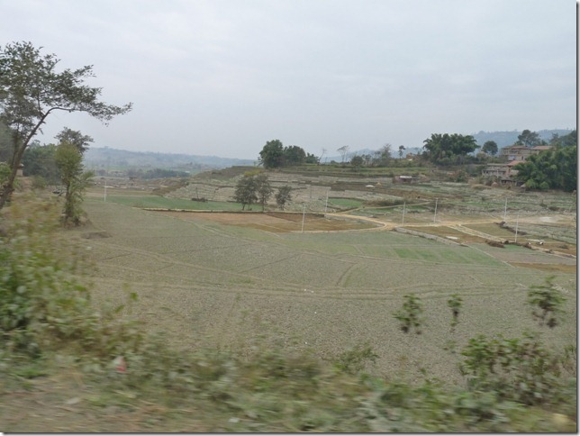 2008.12_india_1951