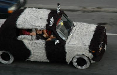 Fur car (3) 1