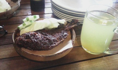 KOPDAR YOGYA (25)
