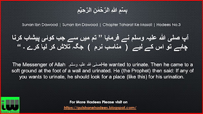 Sunan Ibn Dawood | Sunan Ibn Dawood | Chapter Taharat Ke Masail | Hadees No.3