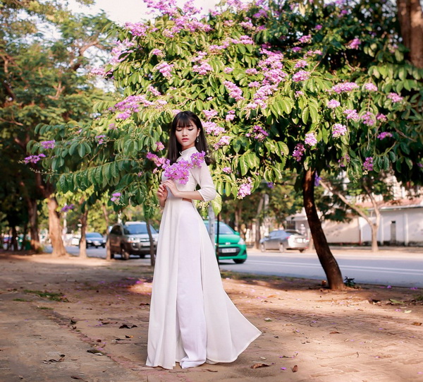 Thiếu nữ áo dài trắng hoa bằng lăng