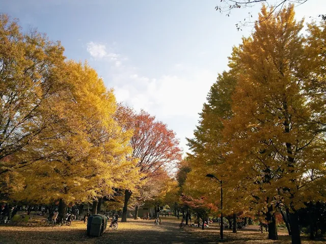 小金井公園